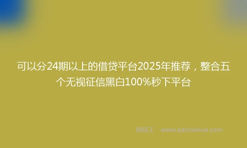 可以分24期以上的借贷平台2025年推荐，整合五个无视征信黑白100%秒下平台