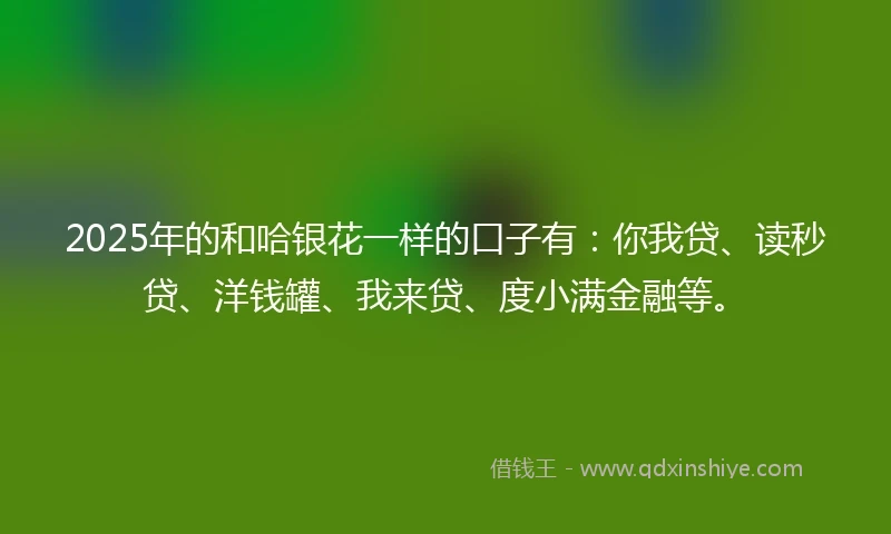 2025年的和哈银花一样的口子有：你我贷、读秒贷、洋钱罐、我来贷、度小满金融等。
