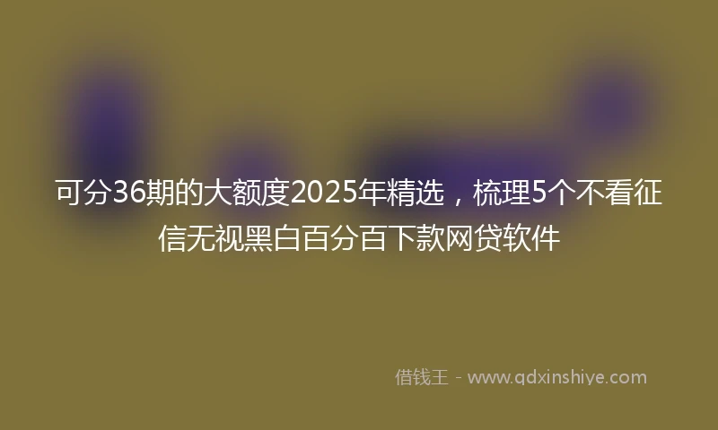 可分36期的大额度2025年精选，梳理5个不看征信无视黑白百分百下款网贷软件