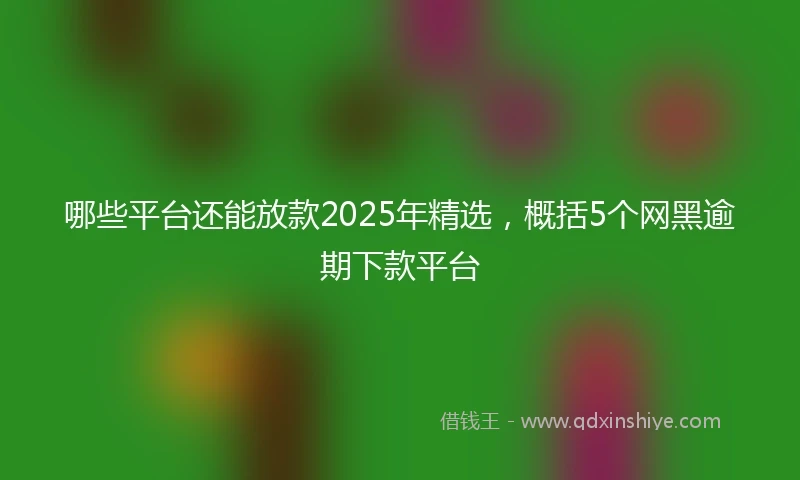 哪些平台还能放款2025年精选，概括5个网黑逾期下款平台