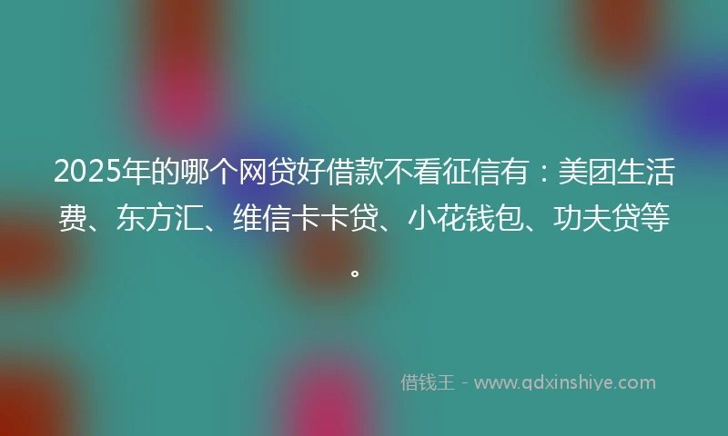 2025年的哪个网贷好借款不看征信有：美团生活费、东方汇、维信卡卡贷、小花钱包、功夫贷等。