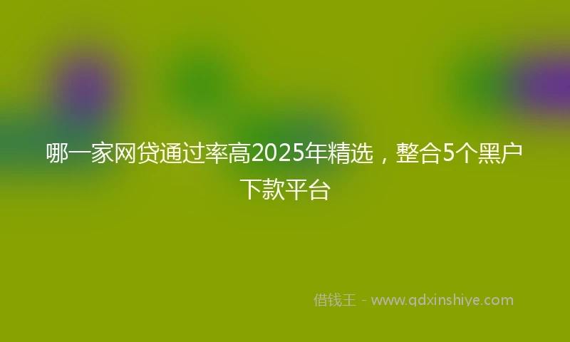 哪一家网贷通过率高2025年精选，整合5个黑户下款平台