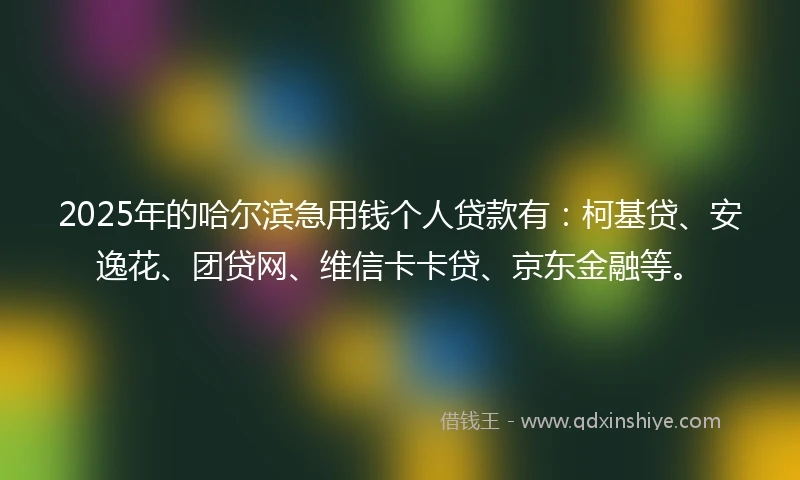 2025年的哈尔滨急用钱个人贷款有：柯基贷、安逸花、团贷网、维信卡卡贷、京东金融等。
