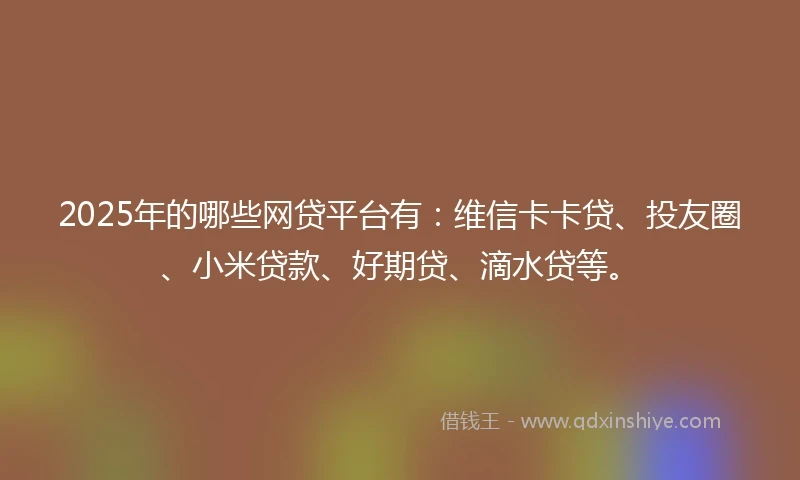 2025年的哪些网贷平台有：维信卡卡贷、投友圈、小米贷款、好期贷、滴水贷等。