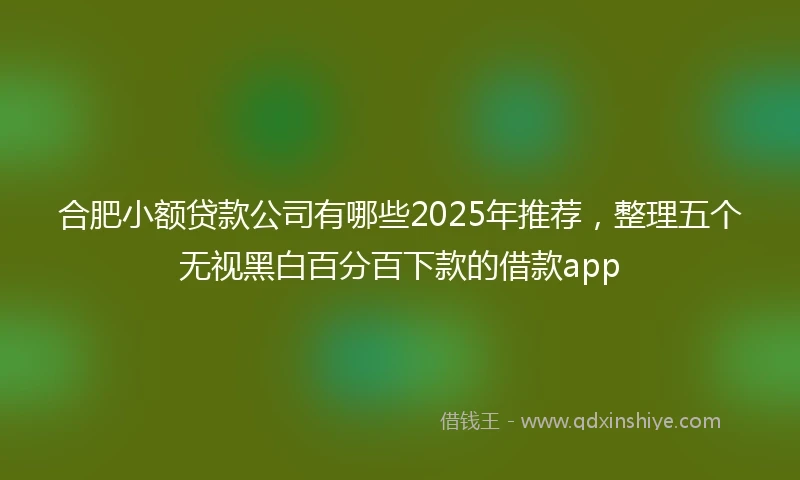 合肥小额贷款公司有哪些2025年推荐，整理五个无视黑白百分百下款的借款app