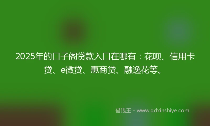 2025年的口子阁贷款入口在哪有：花呗、信用卡贷、e微贷、惠商贷、融逸花等。