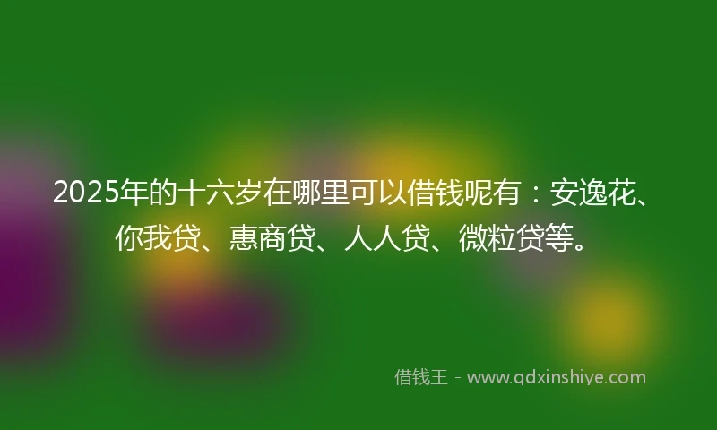 2025年的十六岁在哪里可以借钱呢有：安逸花、你我贷、惠商贷、人人贷、微粒贷等。