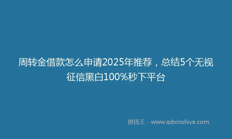 周转金借款怎么申请2025年推荐，总结5个无视征信黑白100%秒下平台