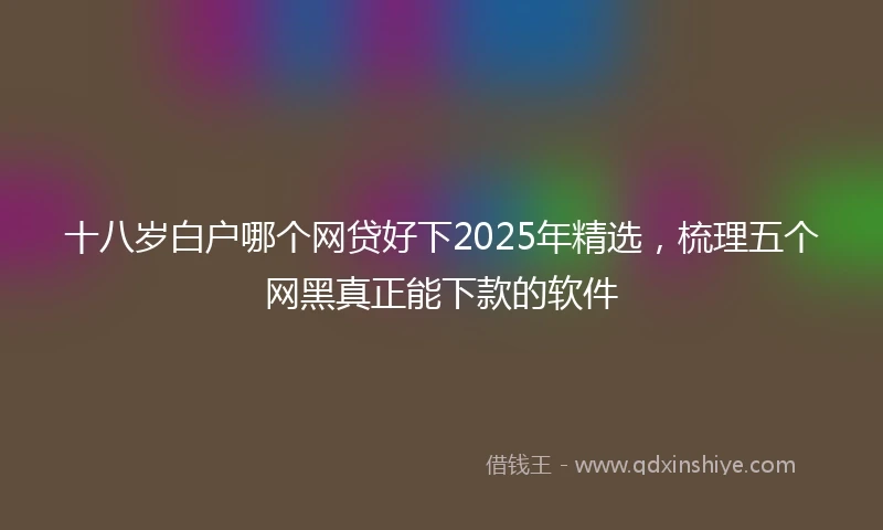 十八岁白户哪个网贷好下2025年精选，梳理五个网黑真正能下款的软件
