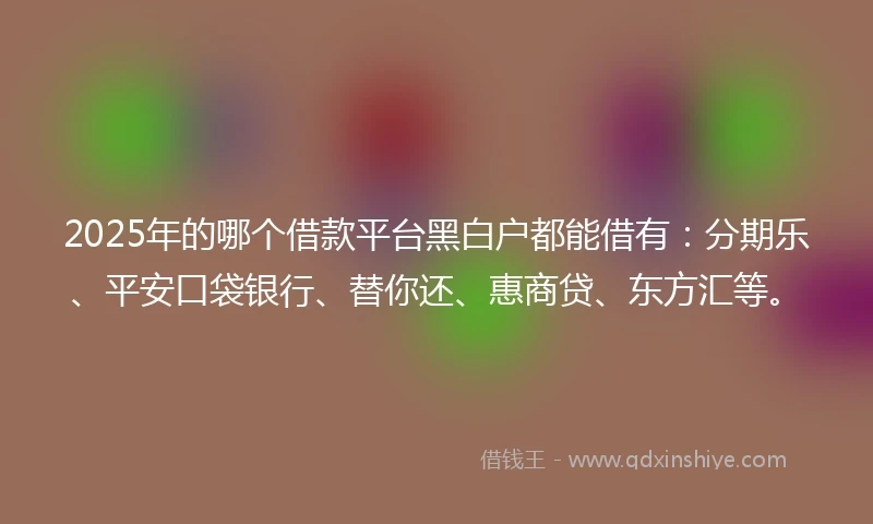 2025年的哪个借款平台黑白户都能借有：分期乐、平安口袋银行、替你还、惠商贷、东方汇等。