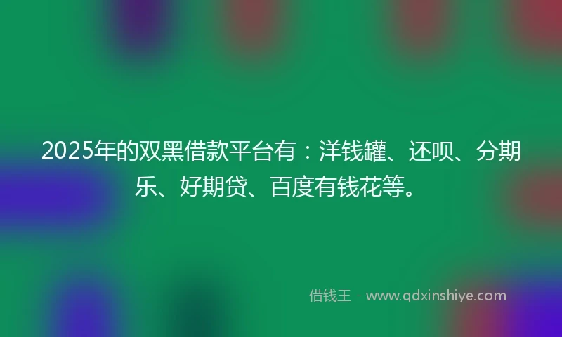 2025年的双黑借款平台有：洋钱罐、还呗、分期乐、好期贷、百度有钱花等。