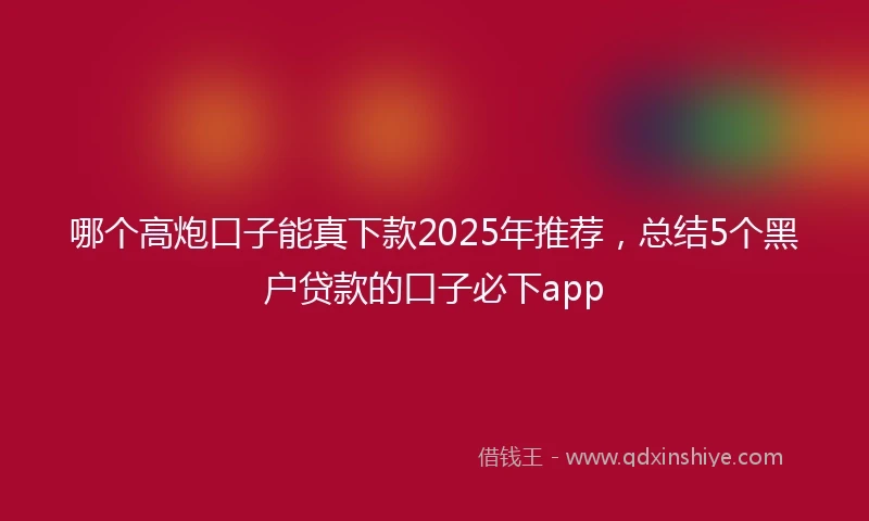 哪个高炮口子能真下款2025年推荐，总结5个黑户贷款的口子必下app