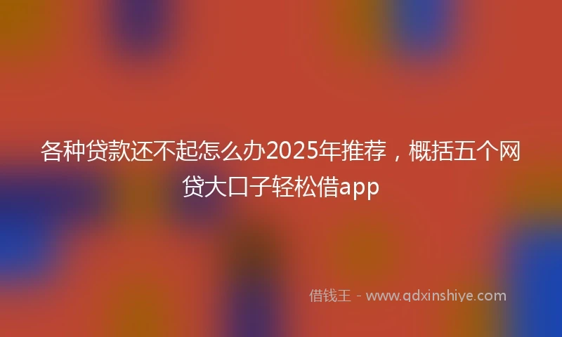 各种贷款还不起怎么办2025年推荐，概括五个网贷大口子轻松借app