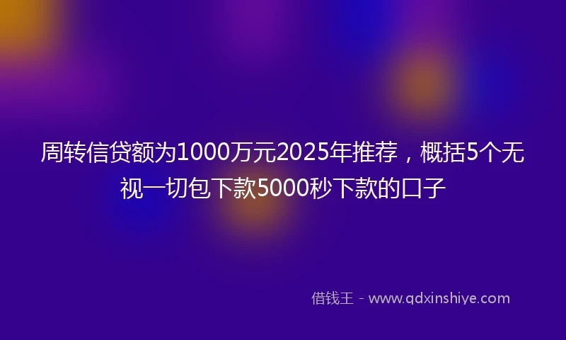 周转信贷额为1000万元2025年推荐，概括5个无视一切包下款5000秒下款的口子