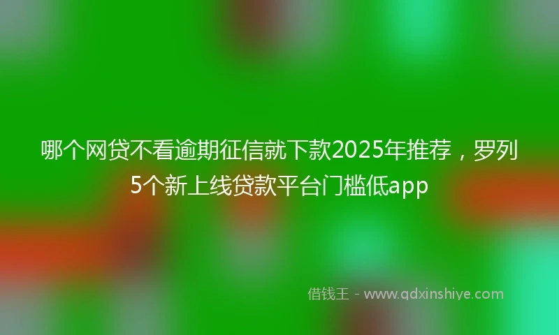 哪个网贷不看逾期征信就下款2025年推荐，罗列5个新上线贷款平台门槛低app