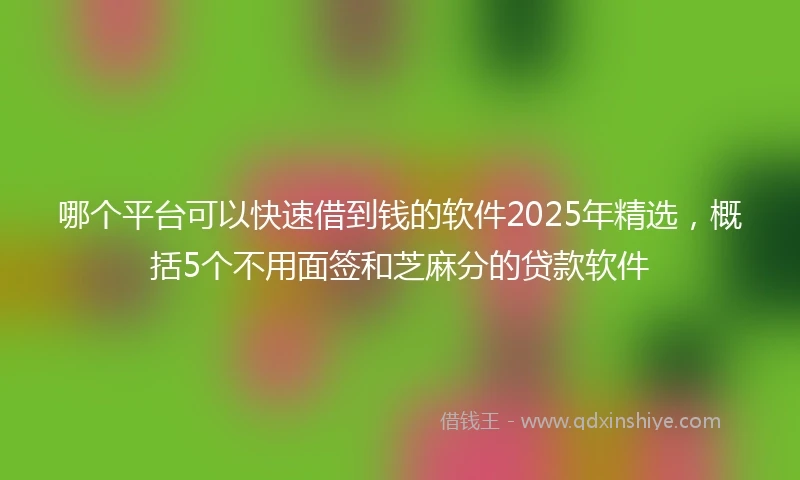 哪个平台可以快速借到钱的软件2025年精选，概括5个不用面签和芝麻分的贷款软件