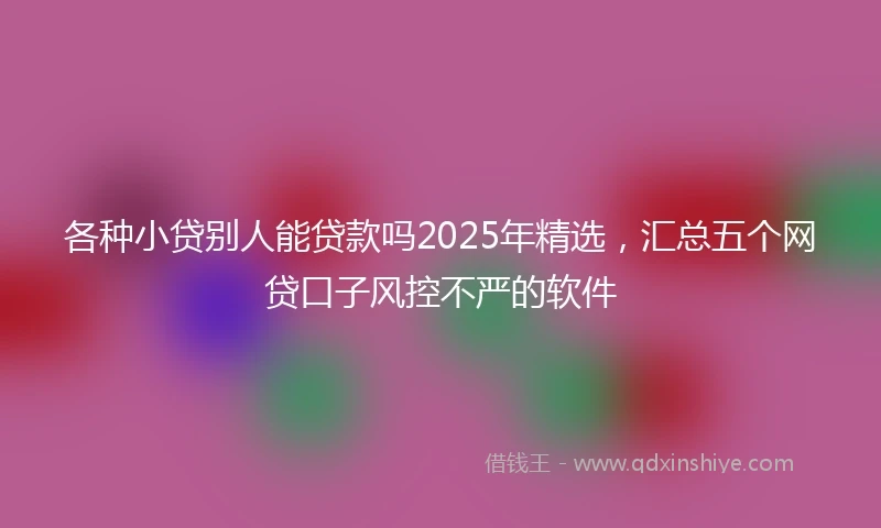 各种小贷别人能贷款吗2025年精选,汇总五个网贷口子风控不严的软件