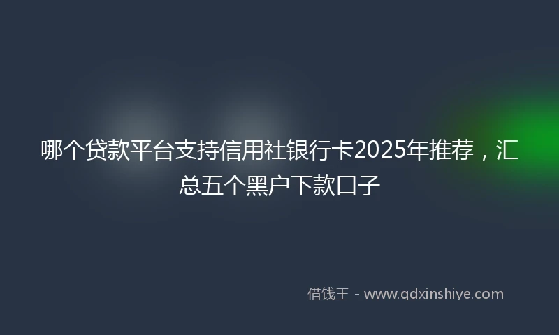 哪个贷款平台支持信用社银行卡2025年推荐，汇总五个黑户下款口子
