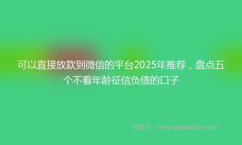 可以直接放款到微信的平台2025年推荐，盘点五个不看年龄征信负债的口子