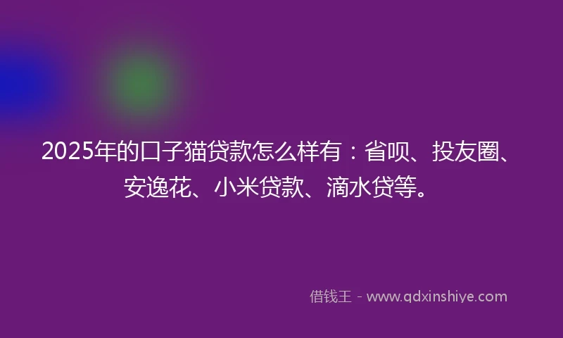 2025年的口子猫贷款怎么样有：省呗、投友圈、安逸花、小米贷款、滴水贷等。