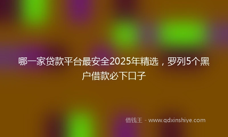 哪一家贷款平台最安全2025年精选，罗列5个黑户借款必下口子