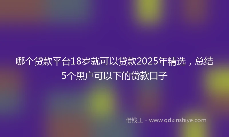 哪个贷款平台18岁就可以贷款2025年精选，总结5个黑户可以下的贷款口子