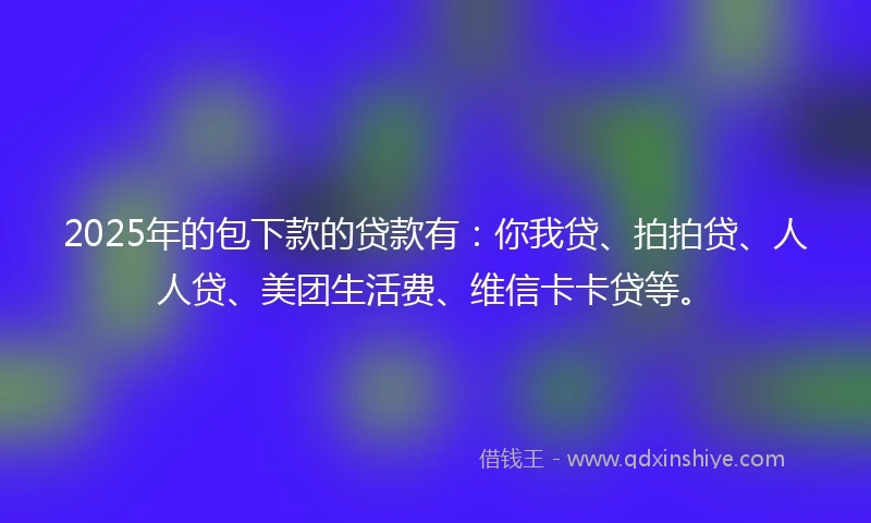 2025年的包下款的贷款有：你我贷、拍拍贷、人人贷、美团生活费、维信卡卡贷等。