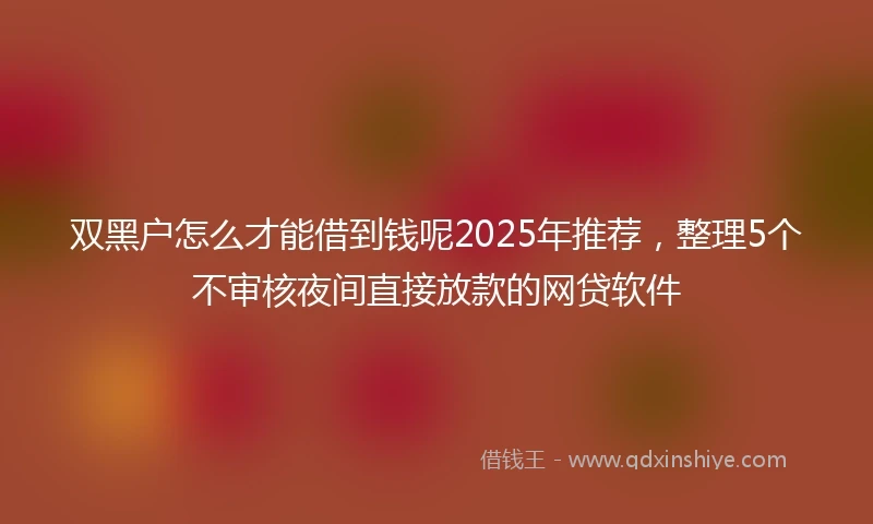 双黑户怎么才能借到钱呢2025年推荐，整理5个不审核夜间直接放款的网贷软件