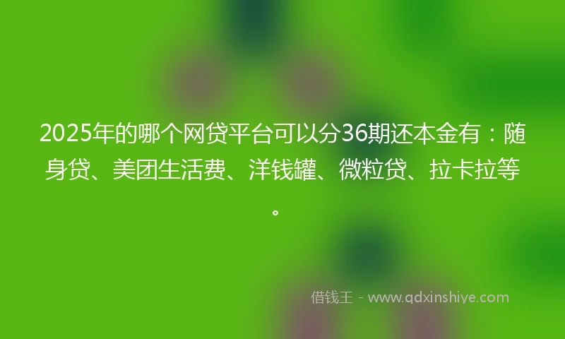 2025年的哪个网贷平台可以分36期还本金有：随身贷、美团生活费、洋钱罐、微粒贷、拉卡拉等。