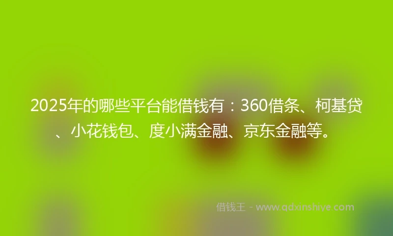 2025年的哪些平台能借钱有：360借条、柯基贷、小花钱包、度小满金融、京东金融等。