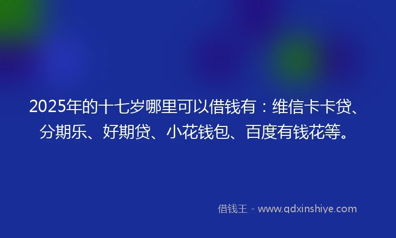 2025年的十七岁哪里可以借钱有：维信卡卡贷、分期乐、好期贷、小花钱包、百度有钱花等。