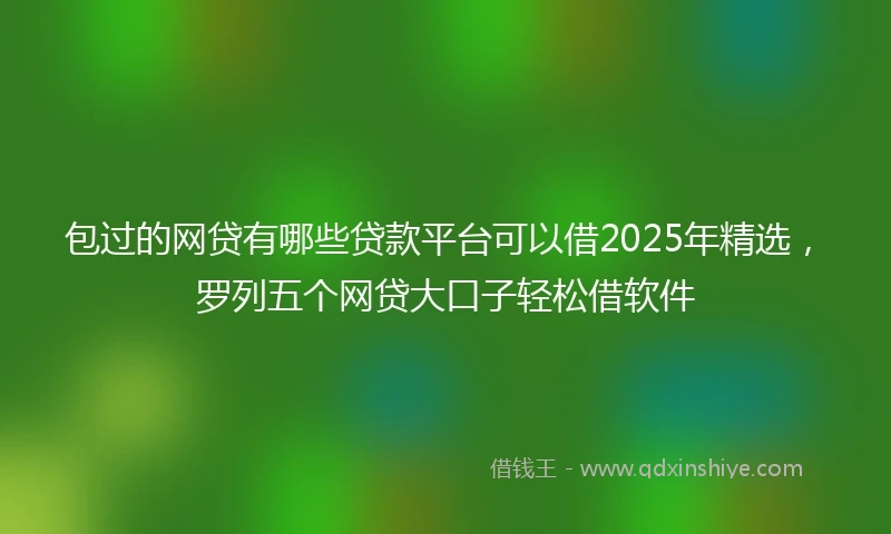 包过的网贷有哪些贷款平台可以借2025年精选，罗列五个网贷大口子轻松借软件