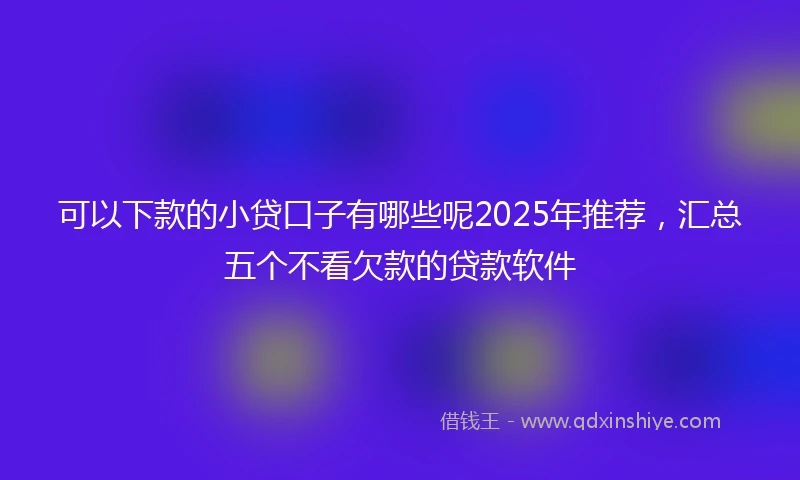 可以下款的小贷口子有哪些呢2025年推荐，汇总五个不看欠款的贷款软件