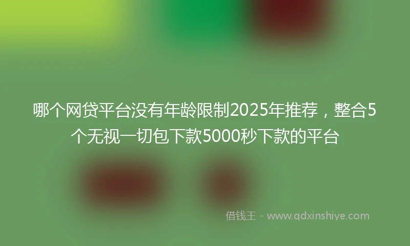哪个网贷平台没有年龄限制2025年推荐，整合5个无视一切包下款5000秒下款的平台