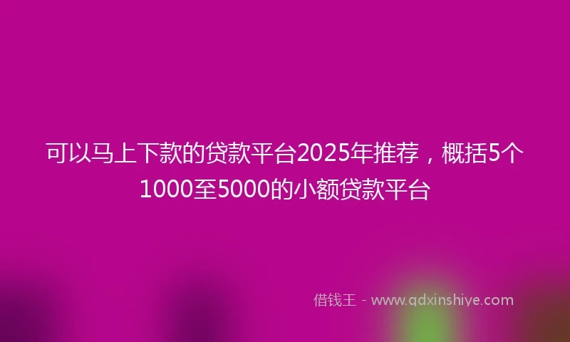 可以马上下款的贷款平台2025年推荐，概括5个1000至5000的小额贷款平台