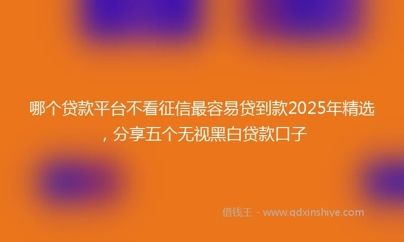 哪个贷款平台不看征信最容易贷到款2025年精选，分享五个无视黑白贷款口子