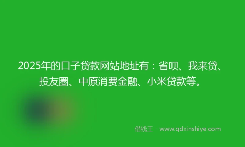 2025年的口子贷款网站地址有：省呗、我来贷、投友圈、中原消费金融、小米贷款等。