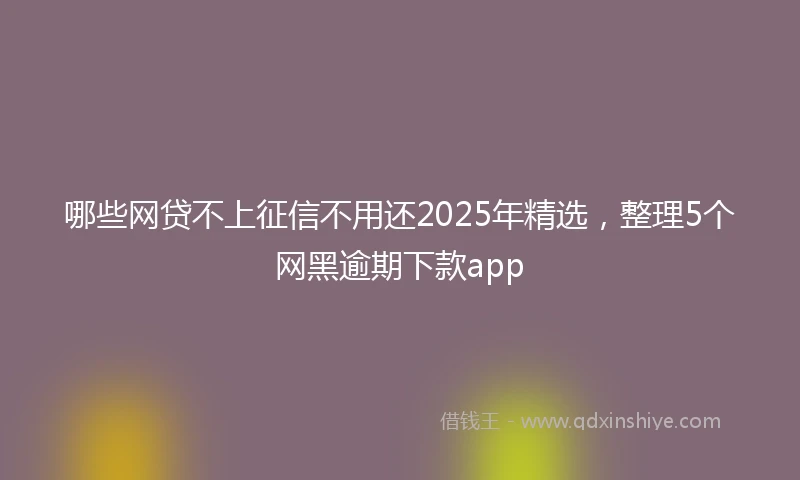 哪些网贷不上征信不用还2025年精选，整理5个网黑逾期下款app