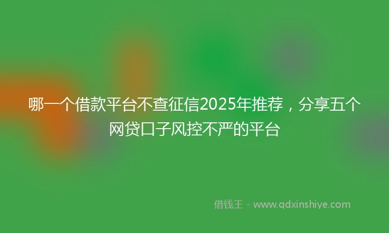 哪一个借款平台不查征信2025年推荐，分享五个网贷口子风控不严的平台