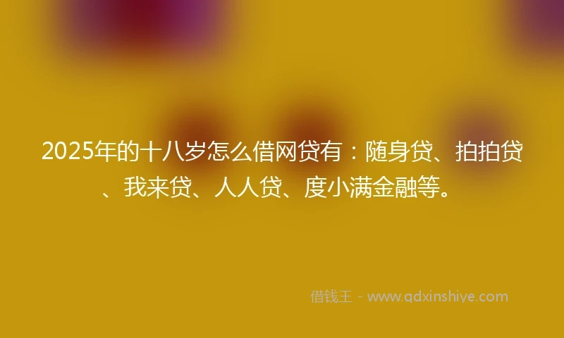 2025年的十八岁怎么借网贷有：随身贷、拍拍贷、我来贷、人人贷、度小满金融等。