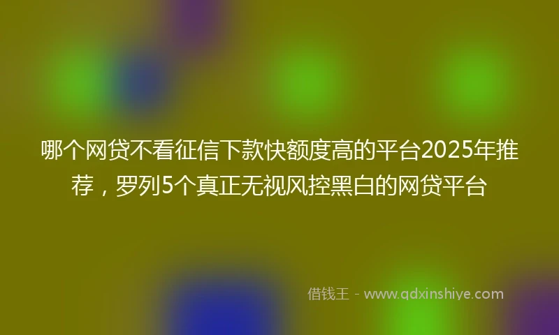 哪个网贷不看征信下款快额度高的平台2025年推荐,罗列5个真正无视风控黑白的网贷平台