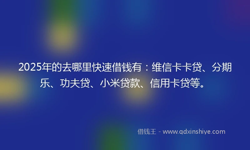 2025年的去哪里快速借钱有:维信卡卡贷、分期乐、功夫贷、小米贷款、信用卡贷等。