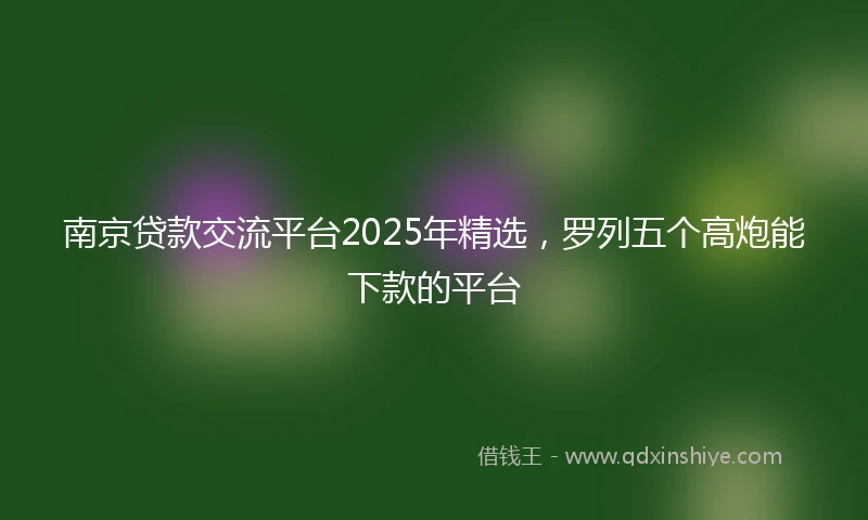 南京贷款交流平台2025年精选，罗列五个高炮能下款的平台