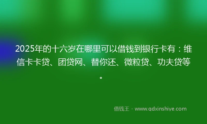 2025年的十六岁在哪里可以借钱到银行卡有：维信卡卡贷、团贷网、替你还、微粒贷、功夫贷等。