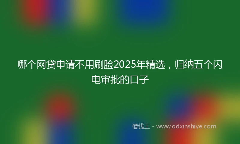 哪个网贷申请不用刷脸2025年精选，归纳五个闪电审批的口子