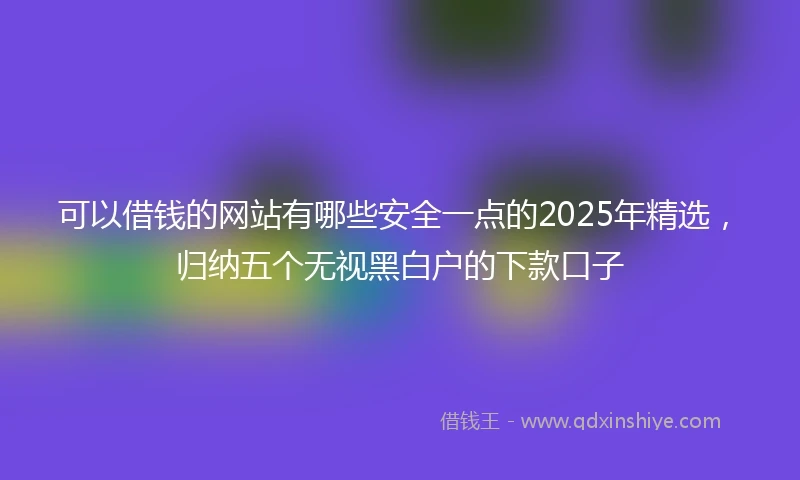 可以借钱的网站有哪些安全一点的2025年精选，归纳五个无视黑白户的下款口子