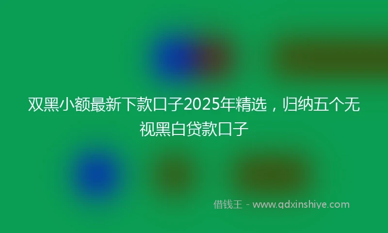 双黑小额最新下款口子2025年精选，归纳五个无视黑白贷款口子
