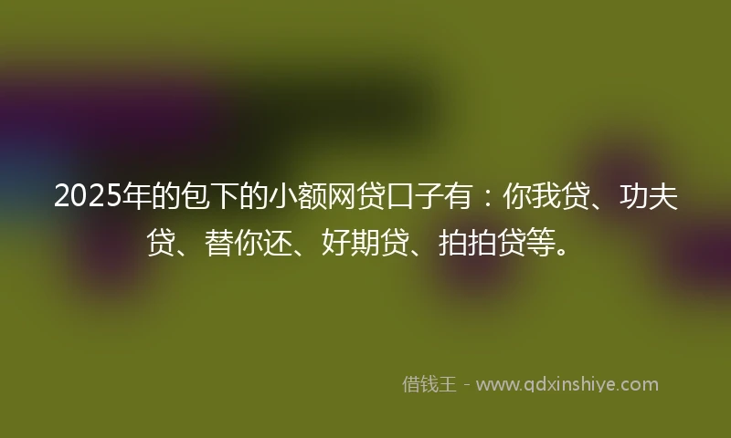 2025年的包下的小额网贷口子有：你我贷、功夫贷、替你还、好期贷、拍拍贷等。