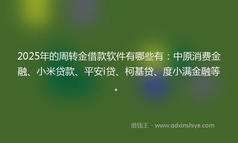 2025年的周转金借款软件有哪些有：中原消费金融、小米贷款、平安i贷、柯基贷、度小满金融等。