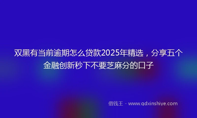 双黑有当前逾期怎么贷款2025年精选，分享五个金融创新秒下不要芝麻分的口子